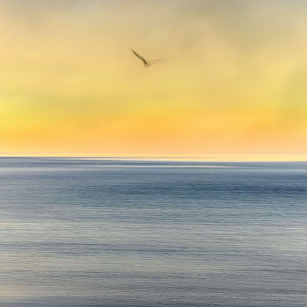 Fotografía minimalista del mar al atardecer con tonos cálidos en el cielo y una gaviota en vuelo, capturando la serenidad y belleza de la costa.