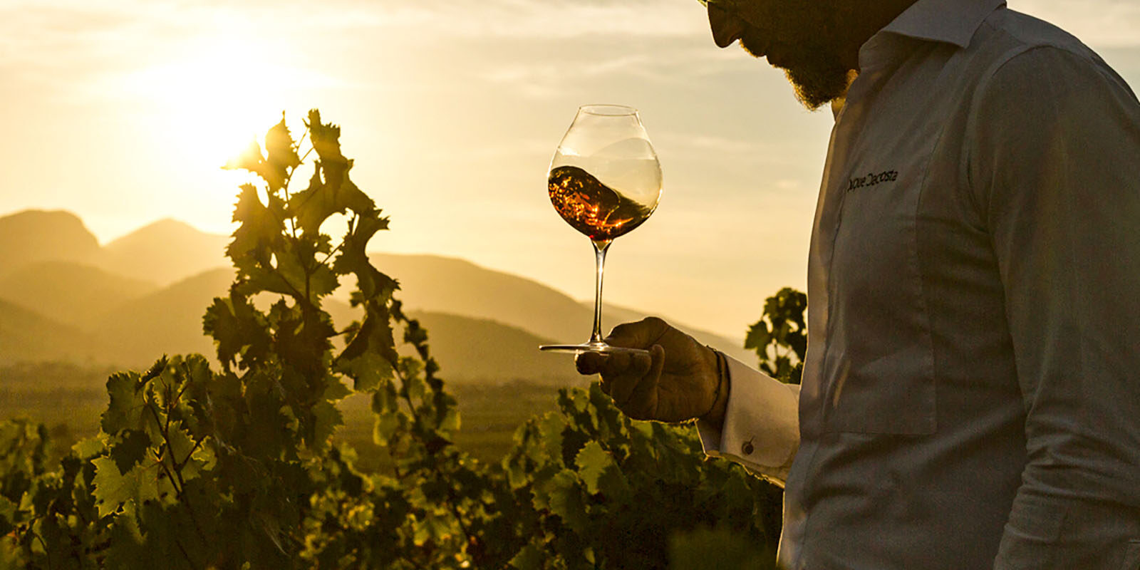 Fotografía de Quique Dacosta en un viñedo al atardecer, sosteniendo una copa de vino con el sol iluminando el paisaje de fondo. Una imagen que resalta la conexión entre la enología y la naturaleza.