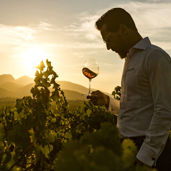 Fotografía de Quique Dacosta en un viñedo al atardecer, sosteniendo una copa de vino con el sol iluminando el paisaje de fondo. Una imagen que resalta la conexión entre la enología y la naturaleza.