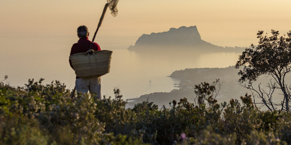Hombre con cesta y red contemplando el horizonte al amanecer, con el Peñón de Ifach como fondo icónico del paisaje.