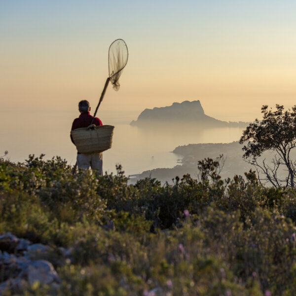 Hombre con cesta y red contemplando el horizonte al amanecer, con el Peñón de Ifach como fondo icónico del paisaje.
