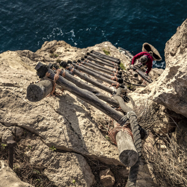 Vista de una escalera de madera anclada en un acantilado, descendiendo hacia el mar, enmarcando la dureza y belleza del entorno.