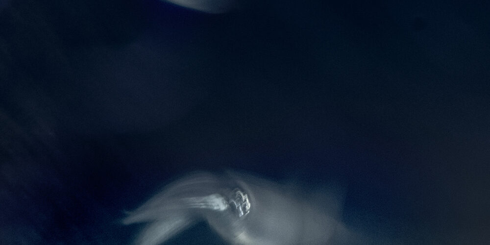 Imágenes abstractas de peces nadando en las profundidades del agua.