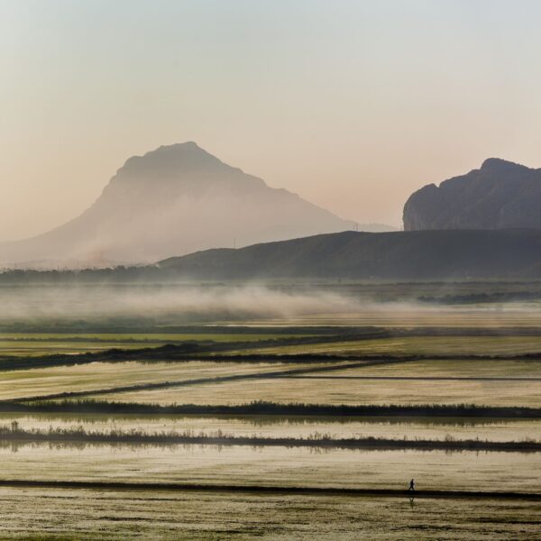 Fotografía de un paisaje rural con campos inundados al amanecer, creando reflejos sutiles bajo una ligera niebla. Al fondo, la imponente silueta del Montgó enmarca la escena, mientras una figura solitaria camina en la distancia. Una composición que transmite calma y conexión con la naturaleza.
