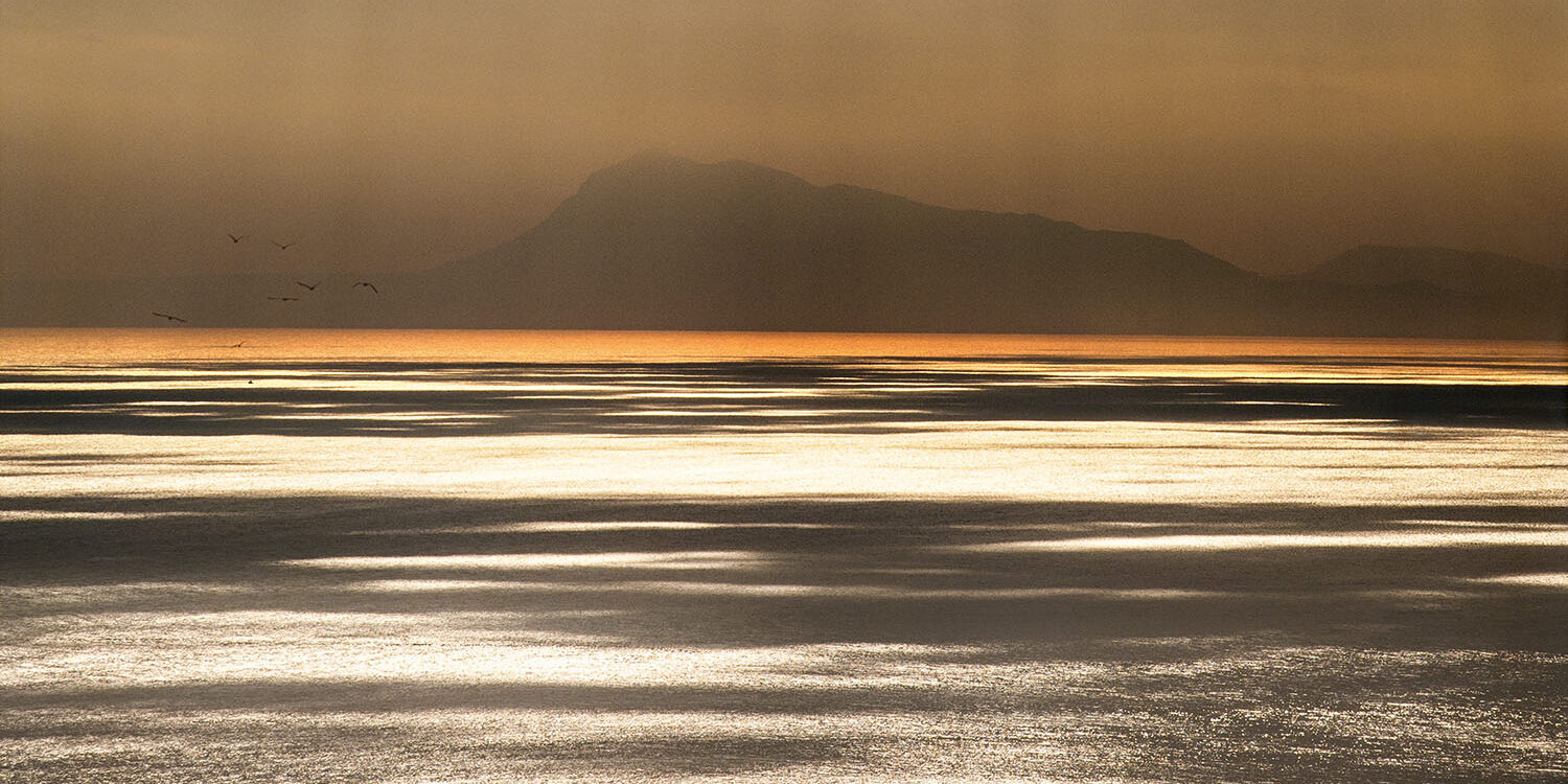 Fotografía del mar al atardecer, con reflejos dorados en el agua bajo un cielo nublado y la silueta del Montgó en el horizonte. Un grupo de aves añade dinamismo a esta escena serena y atmosférica.