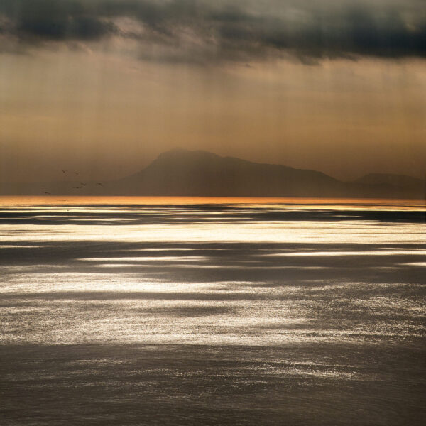 Fotografía del mar al atardecer, con reflejos dorados en el agua bajo un cielo nublado y la silueta del Montgó en el horizonte. Un grupo de aves añade dinamismo a esta escena serena y atmosférica.