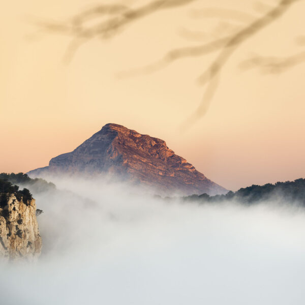 Fotografía del Montgó al amanecer, emergiendo majestuosamente entre un mar de niebla y con tonos cálidos que bañan el cielo. En el primer plano, ramas desenfocadas añaden profundidad a esta escena atmosférica.