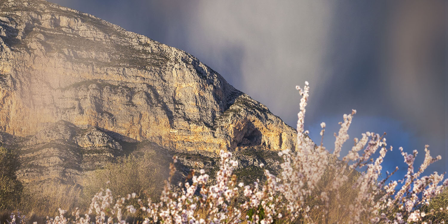 Fotografía del Montgó en un día parcialmente nublado, con almendros en flor en primer plano que aportan un contraste vibrante al paisaje montañoso. Una escena que combina la majestuosidad de la naturaleza y la belleza de la primavera.